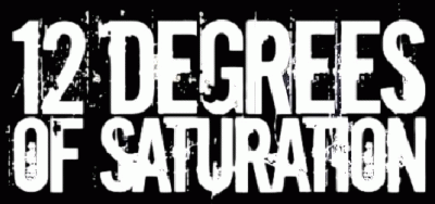 logo 12 Degrees Of Saturation